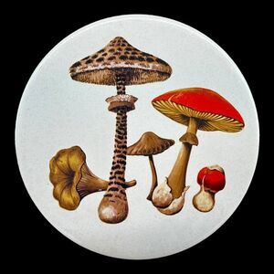 H&R Johnson Ltd Mushroom Trivet Ceramic Round Shroom Groovy 6.5" 1970s Vintage